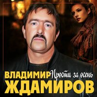 Владимир Ждамиров - Прости за осень