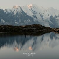 Liam Thomas - Goodbye