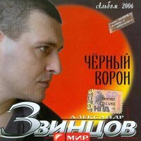 Александр Звинцов - Косяк по кругу