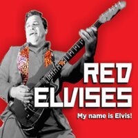 Red Elvises - My Love Is Killing Me