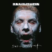 Rammstein - Bestrafe Mich