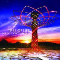Royal Philharmonic Orchestra & Roberto Cacciapaglia - Tree of Life Suite: Wild Side