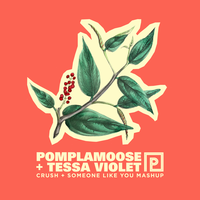 Pomplamoose feat. Tessa Violet - Crush + Someone Like You Mashup