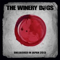 The Winery Dogs - You Can't Save Me (Live)