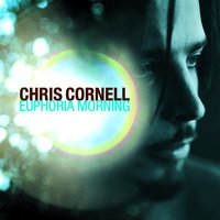 Chris Cornell - Pillow Of Your Bones