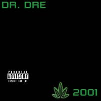 Dr. Dre feat. Snoop Dogg - The Next Episode