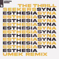 The Thrillseekers feat. Umek - Synaesthesia (remix)