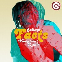 Calixte feat. Wankelmut - Facts (remix)