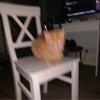 kirkiimad - карусель