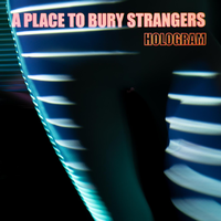 A Place To Bury Strangers - Playing the Part