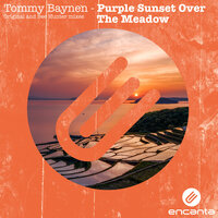 Tommy Baynen - Purple Sunset Over The Meadow (Bee Hunter Remix)