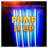 Sean Finn & Bodybangers & Flip Capella feat. Tony T- Pump It Up