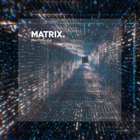 Boris Brejcha - Matrix