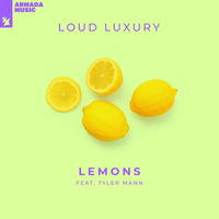 Loud Luxury & Tyler Mann - Lemons