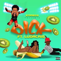 StarBoi3 & Ludacris - Dick
