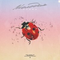 Райми - Молодая