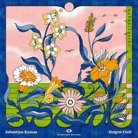 Sebastian Kamae & Etymology Records - Dragon Fruit