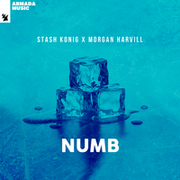 Stash Konig & Morgan Harvill - Numb