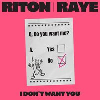 Riton & Raye - I Don't Want You