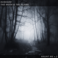 Kaskade feat. The Moth & The Flame - Haunt Me V.2