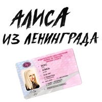 Алиса Вокс - Миша