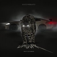 GucciMogucci - Jaguar