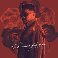 ARZU - Белые розы