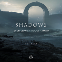 Seven Lions feat. Wooli & Amidy - Shadows (Xavi Remix)