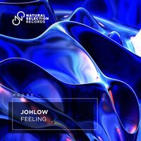 JohLow - Feeling