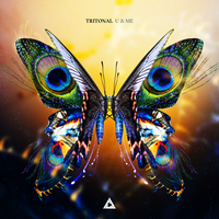 Tritonal feat. Shanahan - Show U Love