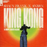 Shaun Frank feat. SNBRN & Dope Earth Alien - King Kong