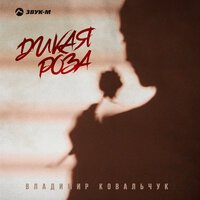Владимир Ковальчук - Дикая Роза