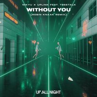 Nikyu & Uplink feat. Treetalk - Without You (Robin Knaak Remix)