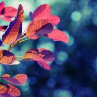 СтанцияПоВстречной - Осень