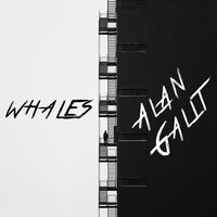 Alan Galit - Whales