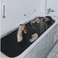 НЕДРЫ - Бивни