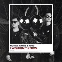 Molow feat. Harris & Ford - I Wouldn't Know
