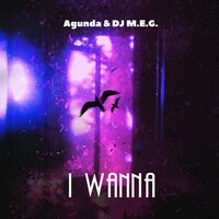 Agunda feat. DJ M.E.G. - I Wanna