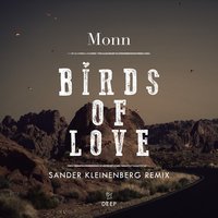 Monn feat. Sander Kleinenberg - Birds Of Love (remix)