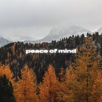 digitalwrld - Peace of Mind