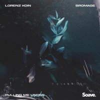 Lorenz Koin feat. Bromage - Pulling Me Under
