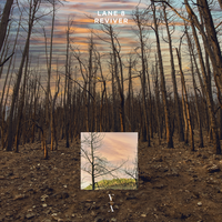 Lane 8 - Reviver