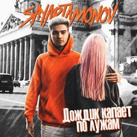 Sayartamonov - Дождик Капает По Лужам