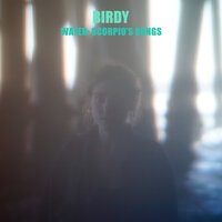 Birdy - Deep End