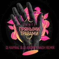 Dante - Пряными травами (DJ Kapral & DJ Andrey Nash Remix)
