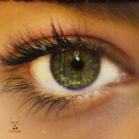 The Motans - La Nesfarsit