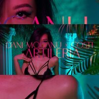 Dani Mocanu & Costi - Artileria (Italian Version)