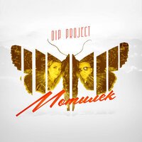 DIP Project - Мотылек