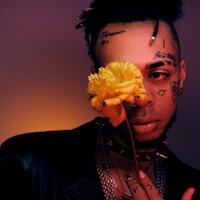 САФАРИ - Крошка