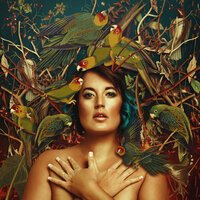 Goodluck - Bird Of Paradise